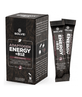 SOLVE LABS Adaptogen Energy + B12 (14 Beutel)